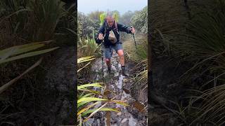 Day 64 Hiking 3000km on Te Araroa teararoa thruhike tararuaranges tararua [upl. by Meelak]