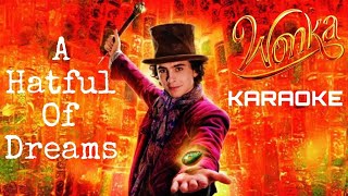 A Hatful Of Dreams KARAOKE Instrumental from quotWonkaquot Timothée Chalamet amp The Cast Of Wonka [upl. by Anilram]