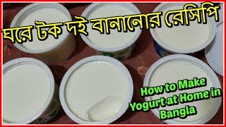 ঘরে টক দই বানানোর রেসিপি  How to Make Yogurt at Home in Bangla [upl. by Ytinav]