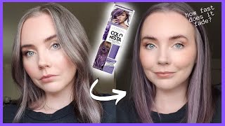 Loreal Colorista Purple 1 Month Later  How Fast Does it Fade Color Payoff [upl. by Rehteh]