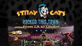 Stray Cats  Fishnet Stockings LIVE [upl. by Hola]