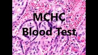 MCHC Blood Test Low High In A Complete Blood Count [upl. by Margalit]