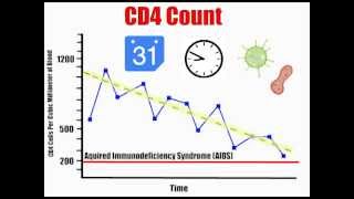 CD4 Count Explained [upl. by Idmann]