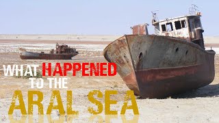 The Aral Sea Catastrophe Explained [upl. by Ylrevaw]