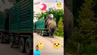 Hathi mera sathi hai 👈 ytshorts viralvideo greenscreeen video [upl. by Birck]