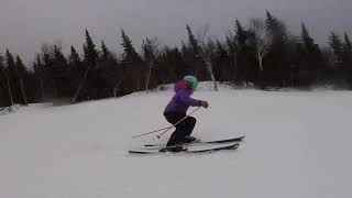 2019 Ski Test  Volkl Flair 81 [upl. by Kolk]