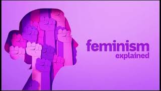 Feminism  introduction to literary theory  detailed explanation in Hindi [upl. by Anaira473]