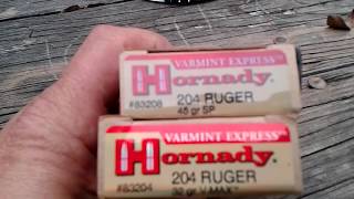 Hornady 204 Ruger 45 grain Verses 32 grain [upl. by Galan730]