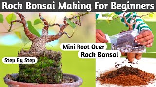 Mini Root Over Rock Bonsai Making Process [upl. by Pears]