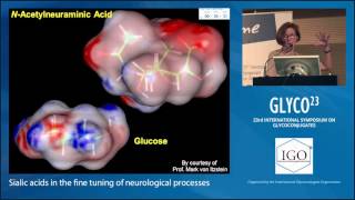 Sialic Acids in the Fine Tuning of Neurological Processes Rita GerardySchahn [upl. by Elletsyrc]