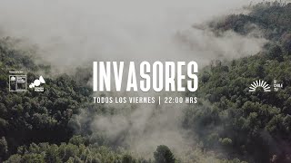 ¡Bienvenidos a Invasores [upl. by Lerim585]