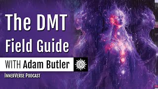 Adam Butler  The Psychedelic Spirit Molecule DMT Realms amp The Hard Problem of Consciousness [upl. by Yr]