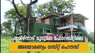 Abhayaranyam Guest House  Stay in Mudumalai Tiger Reserve inside Forest [upl. by Eanod597]