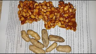 Peanut Chikki with Desi Gurr  Winter Special Recipe By Flame on Hai [upl. by Godred180]