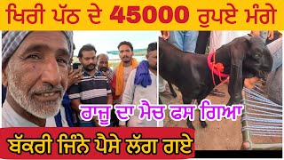 ਖਿਰੀ ਪੱਠ ਦੇ 45000 ਰੁਪਏ ਮੰਗੇ । saholi bakra mandi  goat farming goats goat goatgoats [upl. by Hyacinth]