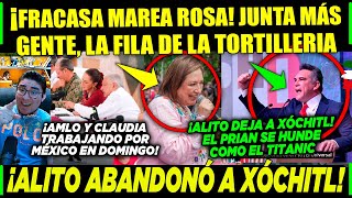 DOMINGAZO MAREA ROSA FRACASA XÓCHITL VALIÓ CHETOS ¡ALITO NO FUE POR ESTO [upl. by Freiman]