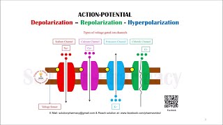 Class 451 Action Potential Depolarization Repolarization  Hyperpolarization Basic Concept [upl. by Amsab]