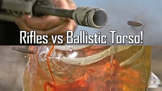 Rifles VS Ballistic Torso  Ballistic HighSpeed [upl. by Anha]