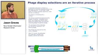 Using an Agilent BioCel System and Agilent AssayMap Bravo Platform in Phage Display and Antibody Scr [upl. by Ahcsrop]