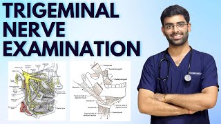 TRIGEMINAL NERVE EXAMINATION  CRANIAL NERVE EXAMINATION  NEUROLOGY [upl. by Jaffe]