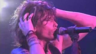 Aerosmith  I Dont Want to Miss A Thing Live in Japan [upl. by Ahsinrad]