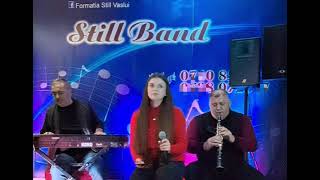 Formația Still Vaslui 0740851579 An eisai ena asteri cover Nikos Vertis [upl. by Aleafar296]