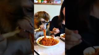 Eating fried noodles again Fried noodles Oh my god it’s so fragrant Monkey brother is here ai [upl. by Annayehc]