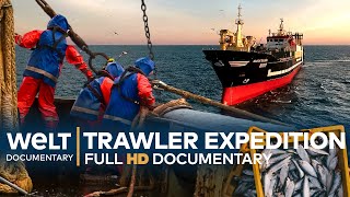 On A FISHING EXPEDITION  Germanys Biggest DeepSea Trawler  Full Documentary [upl. by Ydok]