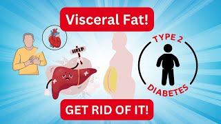 Visceral Fat What It Is Why It’s Dangerous and How to Get Rid of It [upl. by Anecusa]