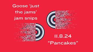 Goose just the jams jam snips  11824 quotPancakesquot [upl. by Linda793]