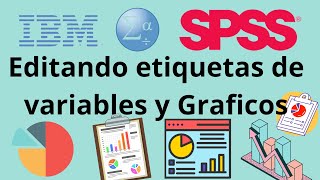 SPSS Etiquetas y Edición de Graficos [upl. by Tnecniv]