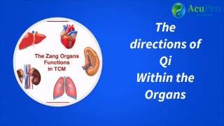 Qi directions in Chinese medicine [upl. by Llerrah]