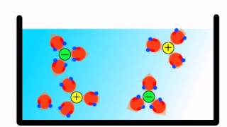 世界一雑な高校化学動画 極性と溶解 [upl. by Vas671]