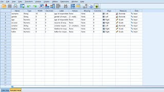 SPSS Data Collection Tutorial In 16 Minutes [upl. by Uttasta]