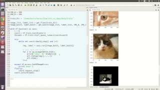 Tensorflow tutorial Cats vs dogs 03 [upl. by Torp]