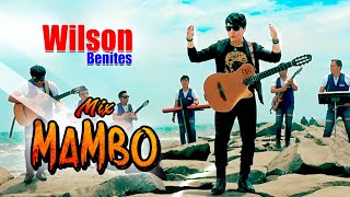 WILSON BENITES  MIX MAMBO  PRIMICIA 2020  Huaynos Peruanos [upl. by Brass645]