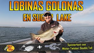 Lobinas con spinner bait en Sugar Lake [upl. by Sasha869]