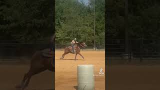 horse sporthorses horsesports cowgirl [upl. by Nelly331]