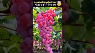 Amazing facts about food 🍎 fact in hindi amazingfacts facts shorts [upl. by Yewed]