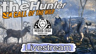 The Hunter Call of the Wild  Auf gehts nach MedvedTaiga  Multiplayer Deutsch [upl. by Elatia]