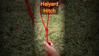 Halyard Hitch knottying knot topknot knottutorial hitchknot ashley [upl. by Enetsirk]