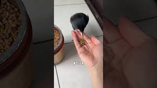 Bird raising experience sharing Kaiyuan brand bird food Starling feed Double 11 must buy Cute pe [upl. by Koal]