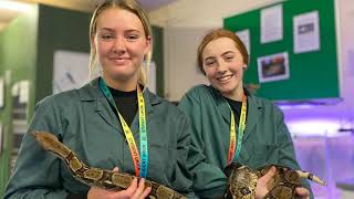 Study Animal Management at Duchy College Stoke Climsland VOD [upl. by Ahsaelat769]