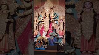 Tridhara durgapuja  pandel hopping durgapuja tridhara viral shorts [upl. by Enram]