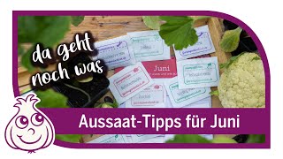 Letzte wichtige Aussaaten im Juni  Aussaattipps [upl. by Mosier]