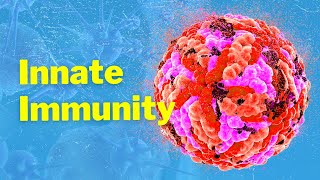 The Cells of Innate Immunity and Mechanism [upl. by Sileray273]