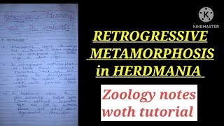 RETROGRESSIVE METAMORPHOSIS IN HERDMANIA IN HINDI retrogressivemetamorphosis herdmania zoologynot [upl. by Hanah254]