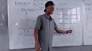 RHODOPSINRETINAL VISUAL CYCLE BIOCHEMISTRY OF VISION [upl. by Letsirc476]