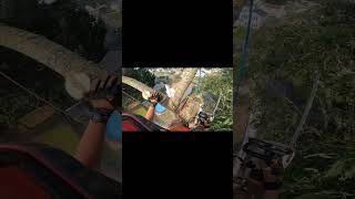 Taking the final top of the day climbing arborist treeworker stihl treeremoval rigging fyp [upl. by Evoy]