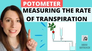 Potometer Experiment  Measuring the rate of transpiration Alevel Biology Experiment [upl. by Anthea]